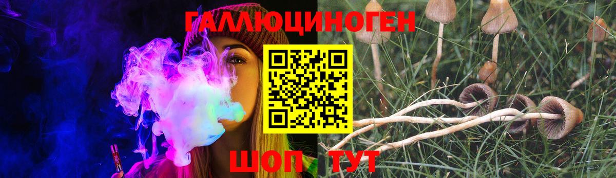 Галлюциногенные грибы Psilocybine cubensis Можайск
