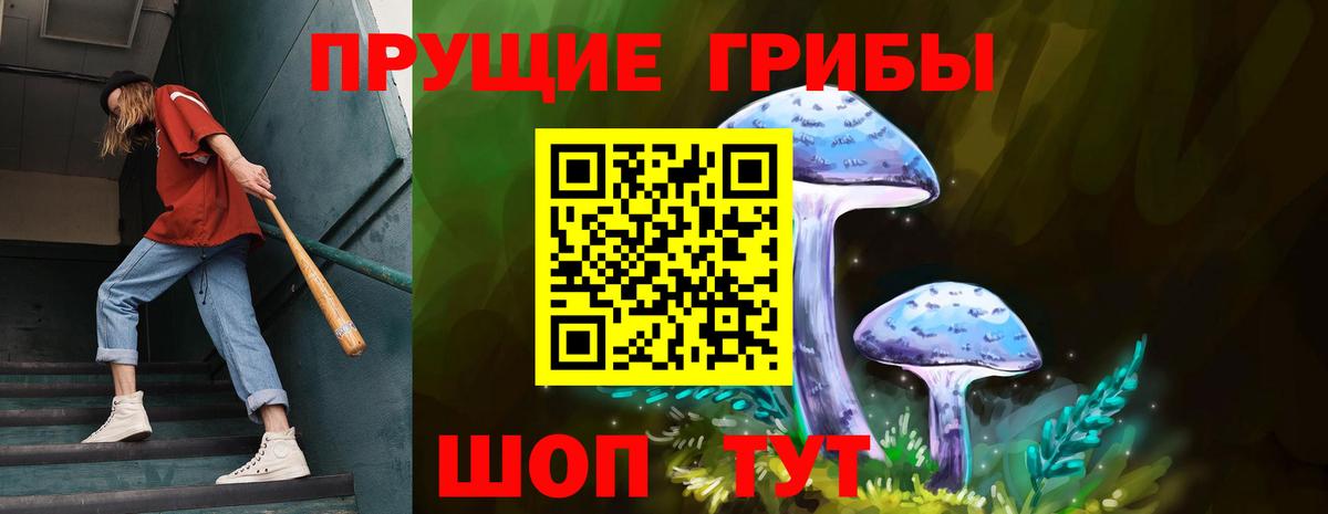 Галлюциногенные грибы ЛСД  Галлюциногенные грибы прущие грибы  наркошоп  Вход с VPN  Можайск 